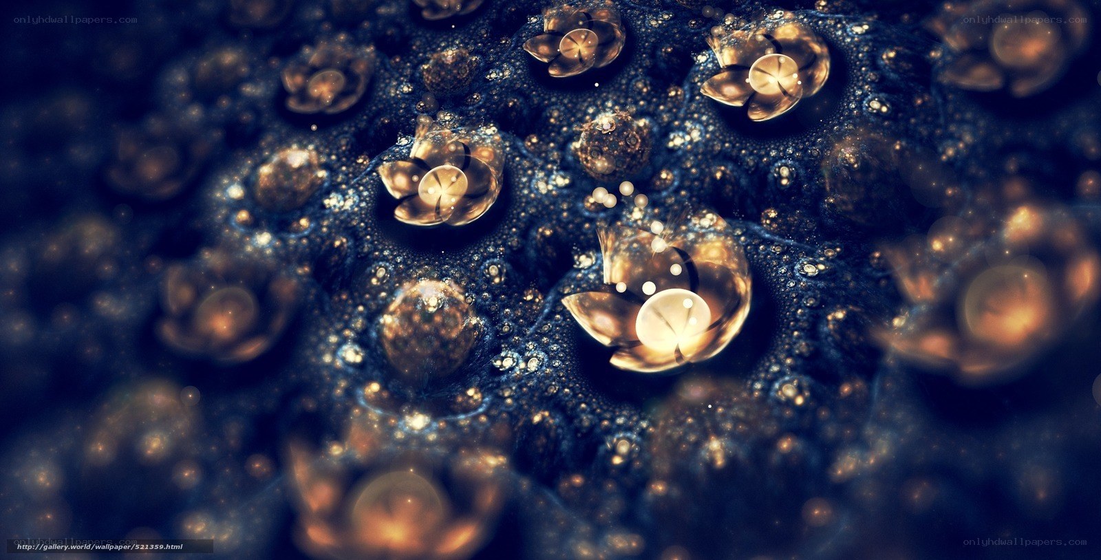 Abstract golden flowers on dark background