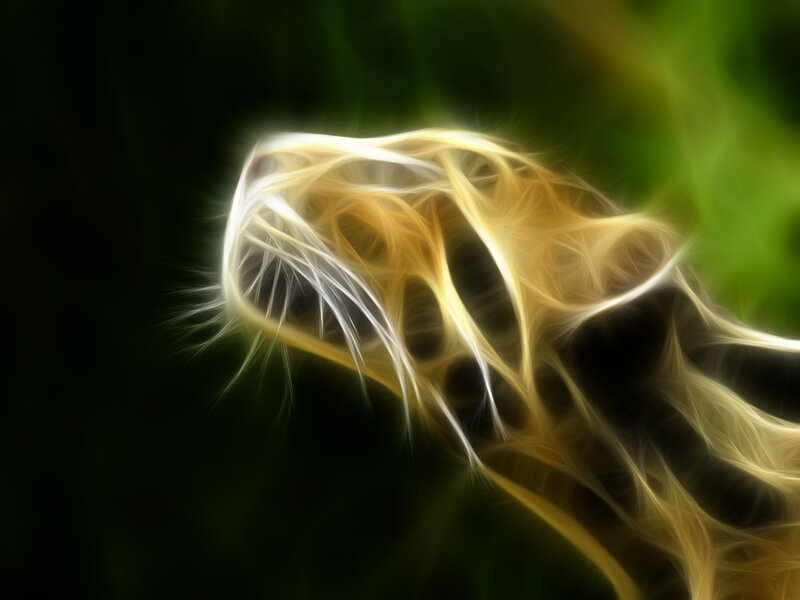 Abstract golden light form