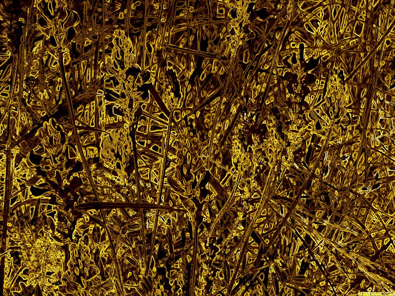 Abstract Golden Plant Pattern