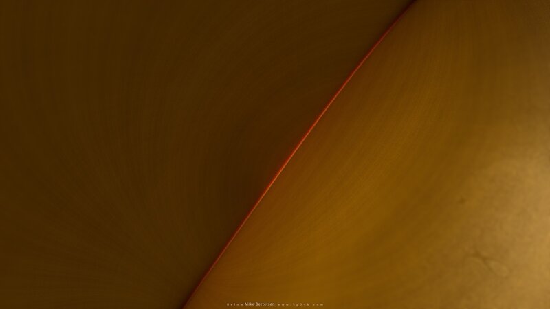 Abstract Golden Surface