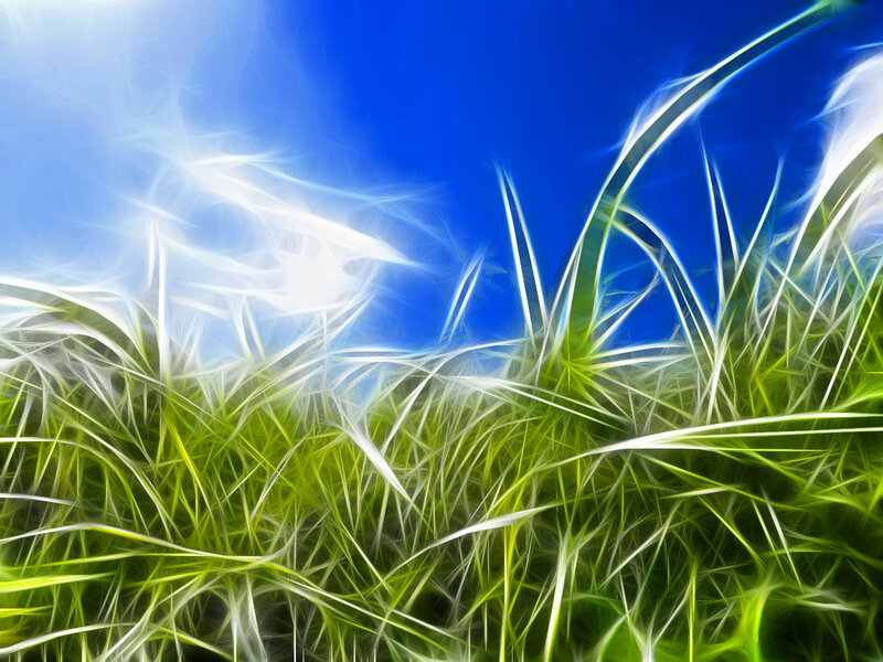 Abstract grass and sky
