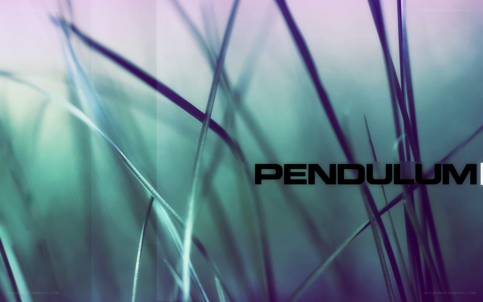 abstract grass background