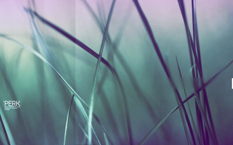 Abstract grass blades in purple and teal