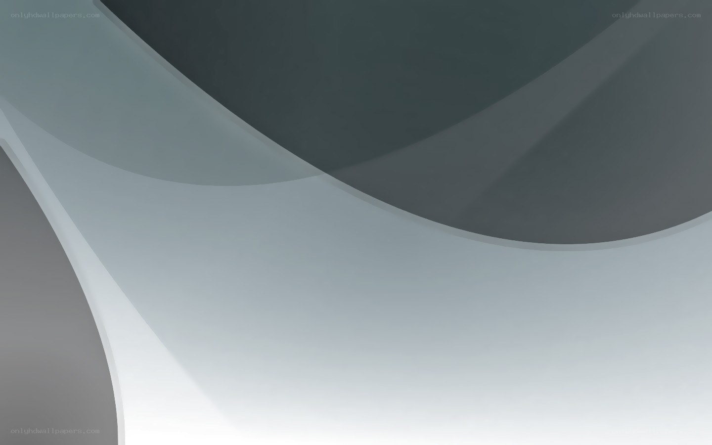 abstract gray curves