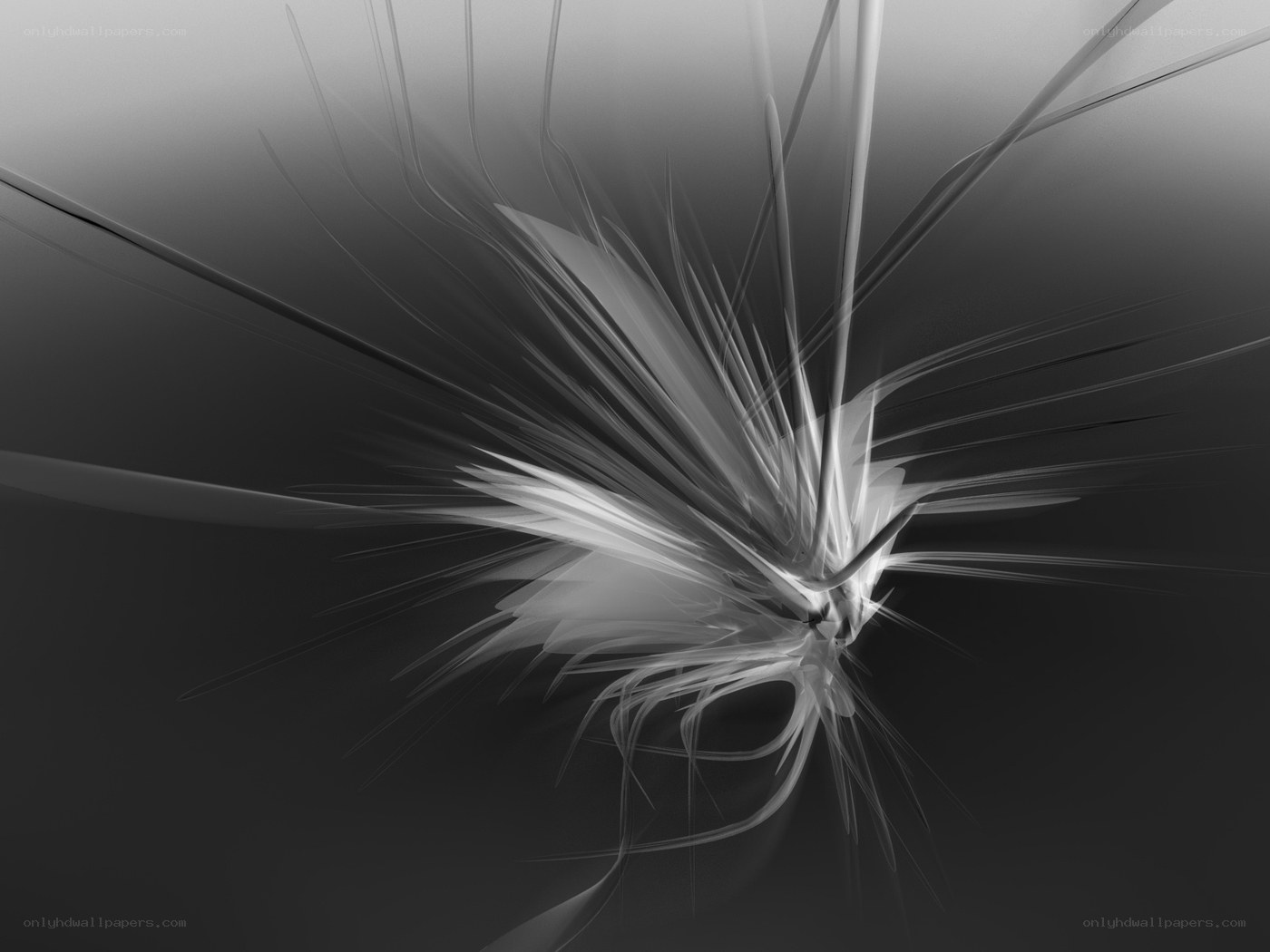 Abstract grayscale fractal burst