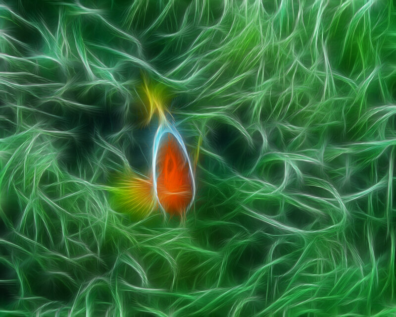 Abstract green and orange fractal