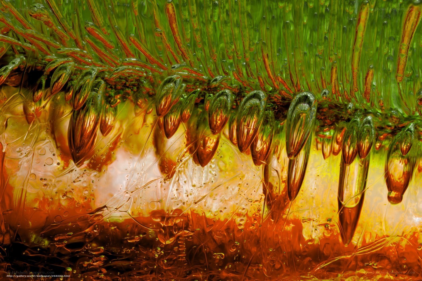 Abstract green and orange gel texture