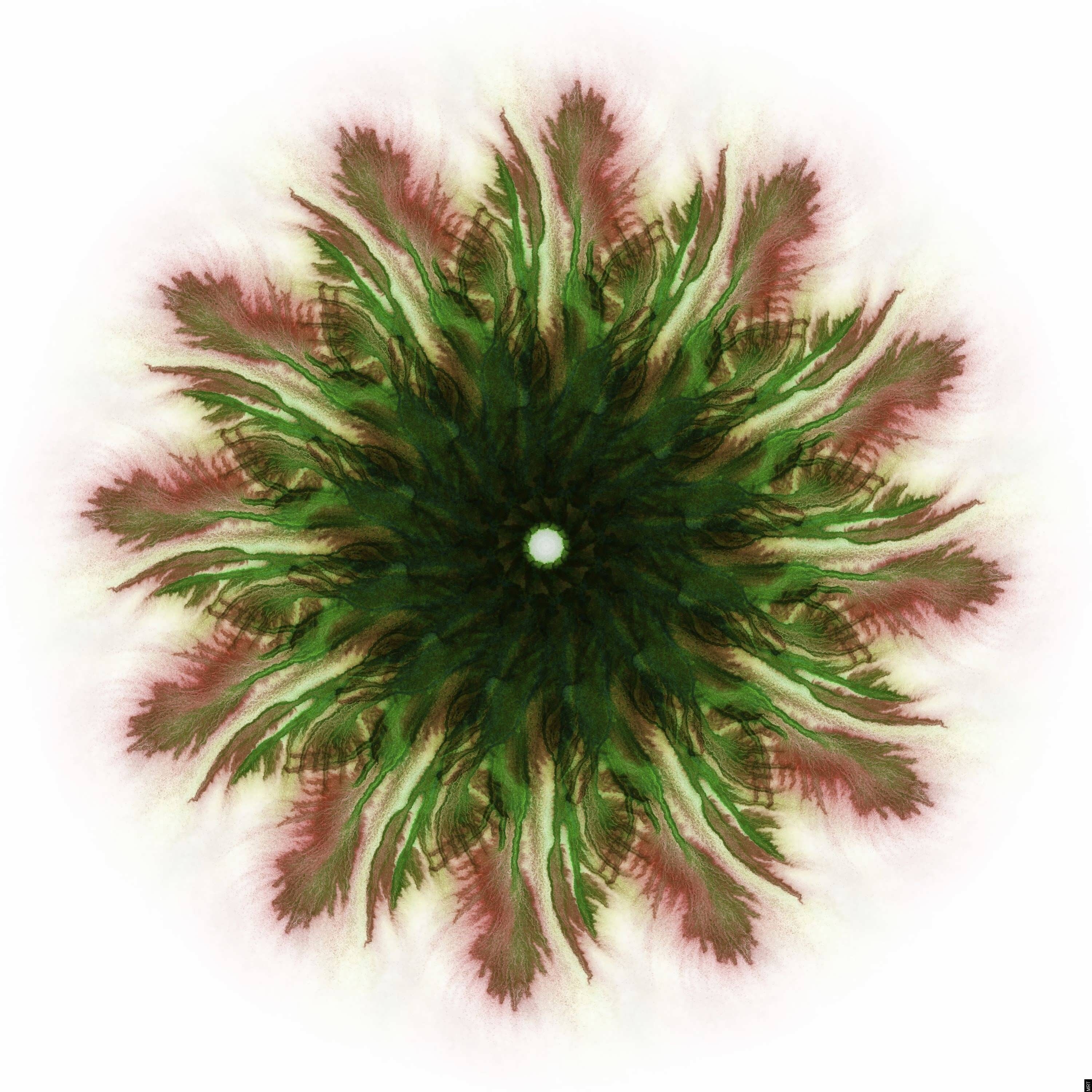 Abstract green and red fractal pattern