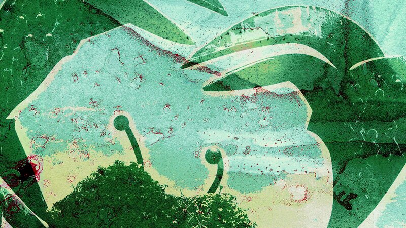 abstract green and teal artwork