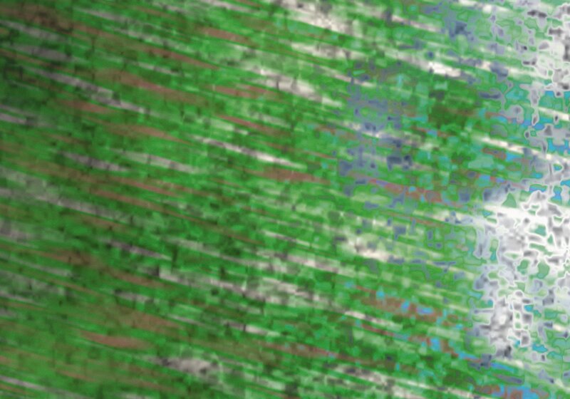 abstract green and white pattern
