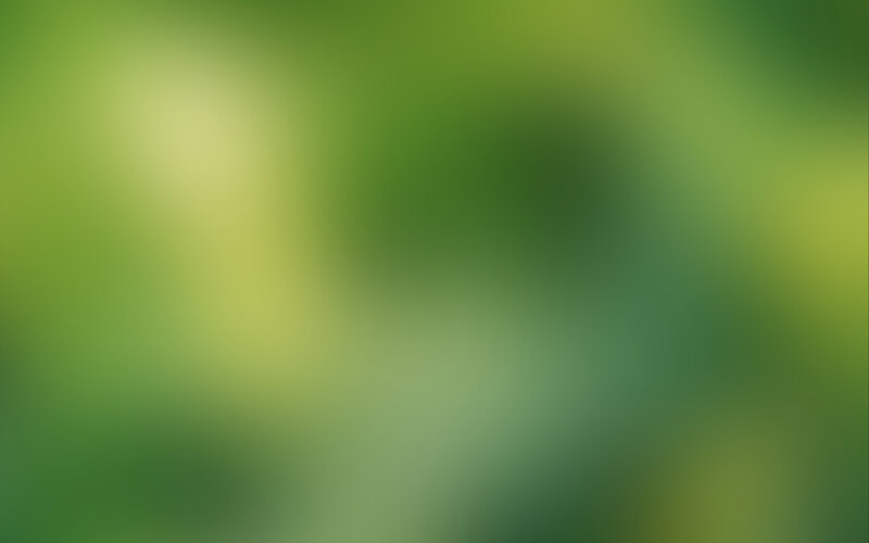 abstract green blur