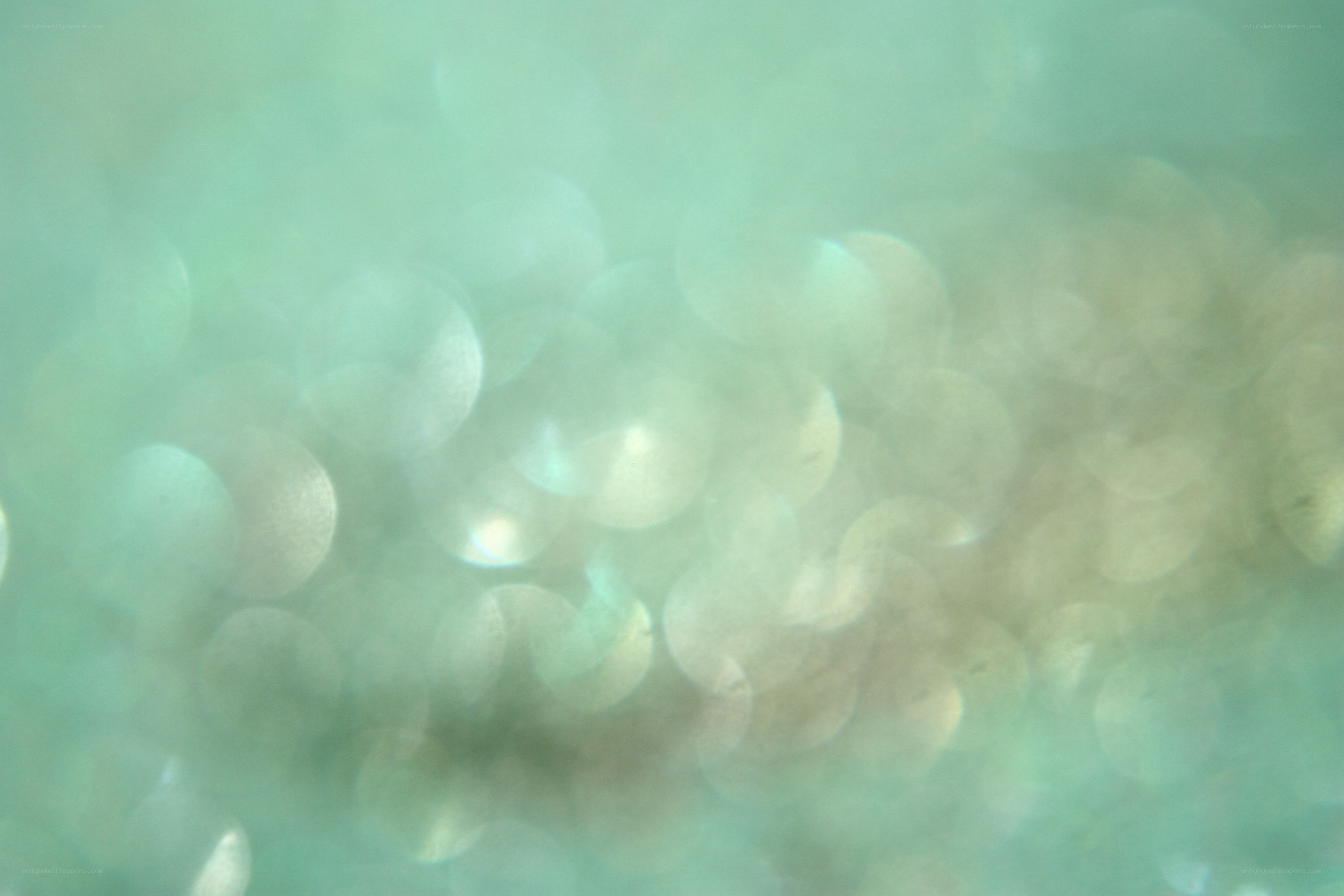 abstract green bokeh lights