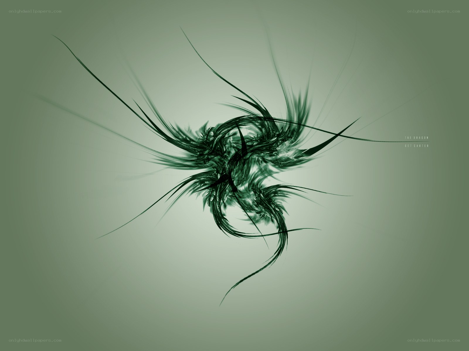Abstract green dragon design