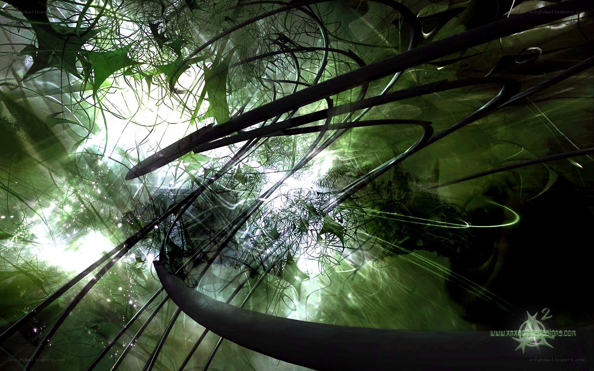 Abstract green forest light