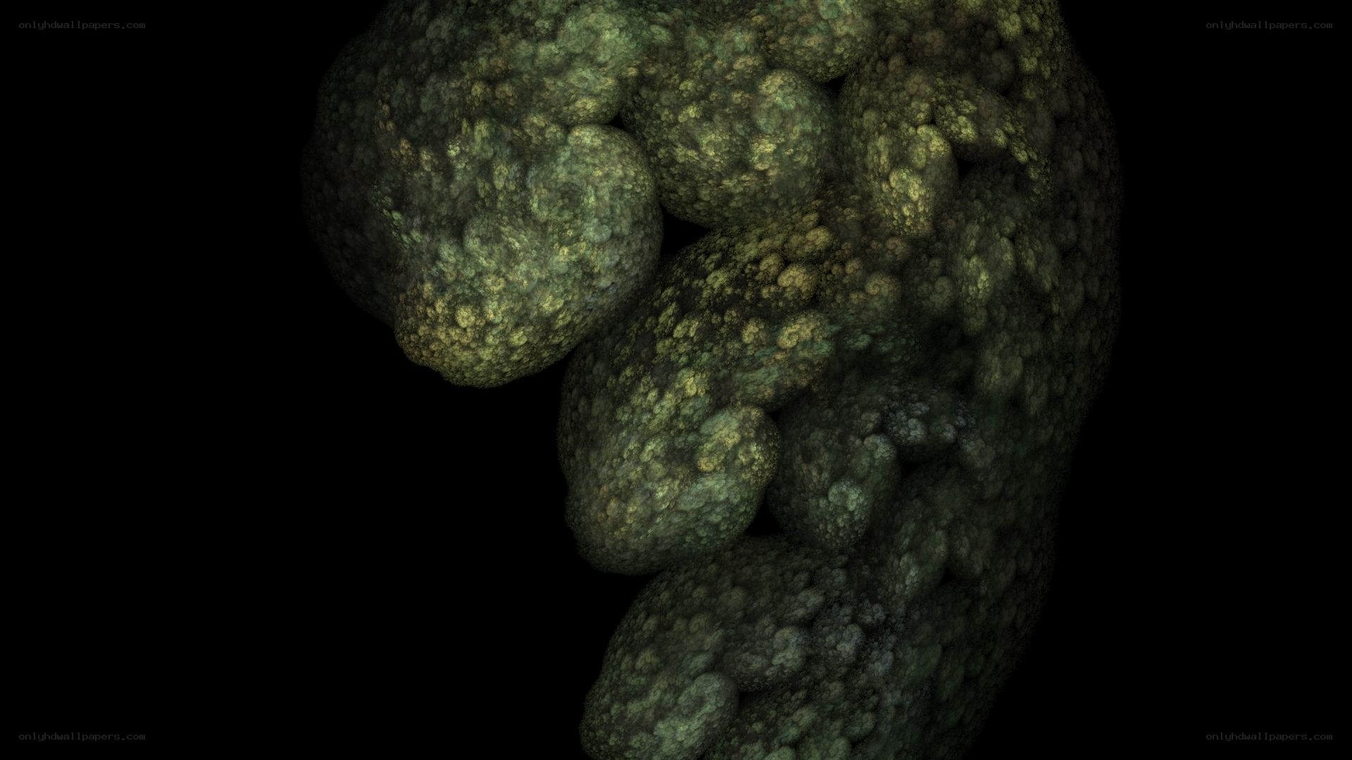 abstract green fractal formation