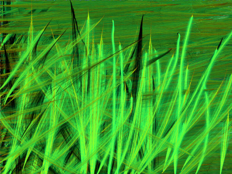 abstract green grass texture