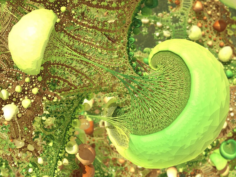 Abstract green organic forms