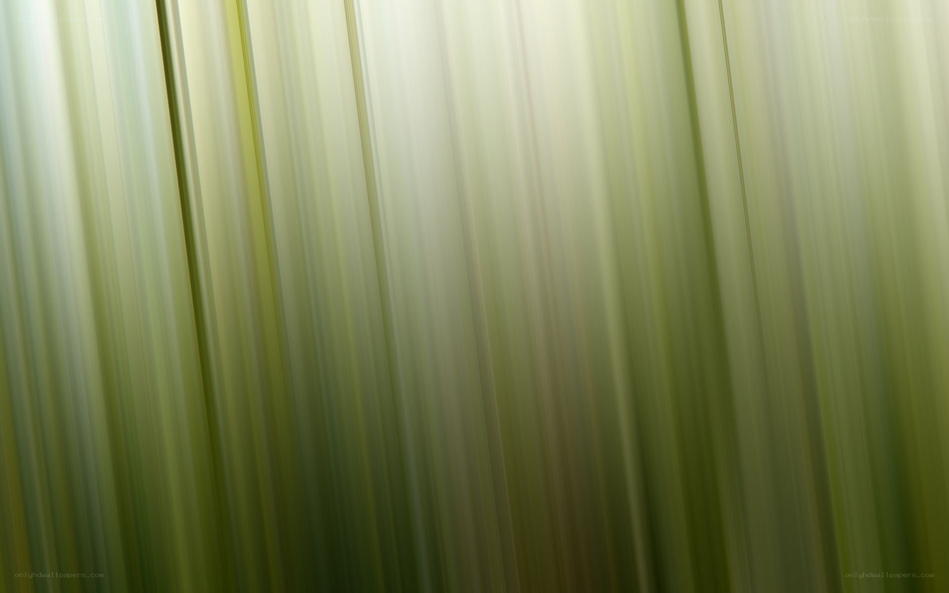 abstract green vertical lines