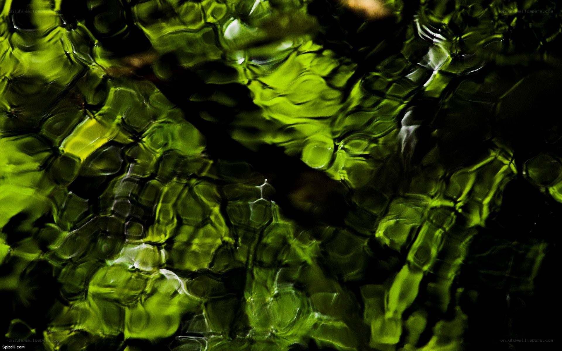 Abstract green water ripples