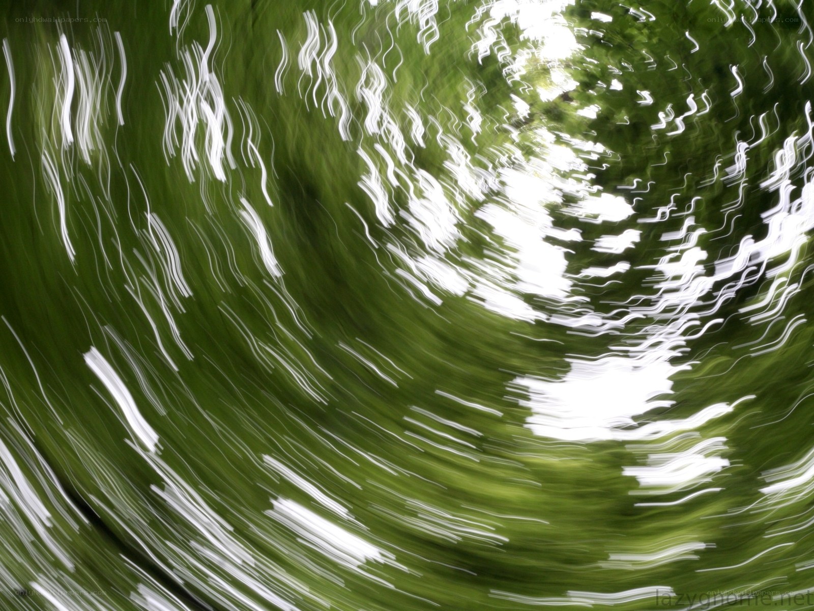 Abstract green water swirl
