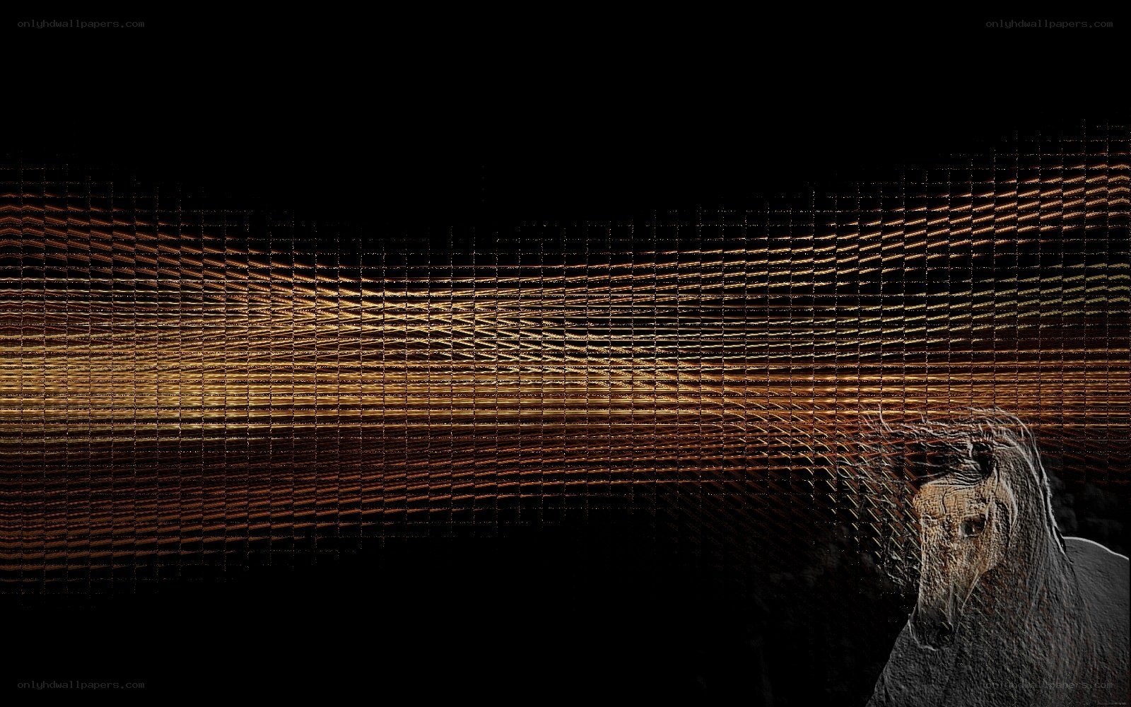abstract horse with light waves