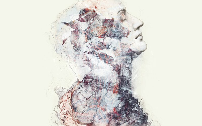 Abstract Human Profile