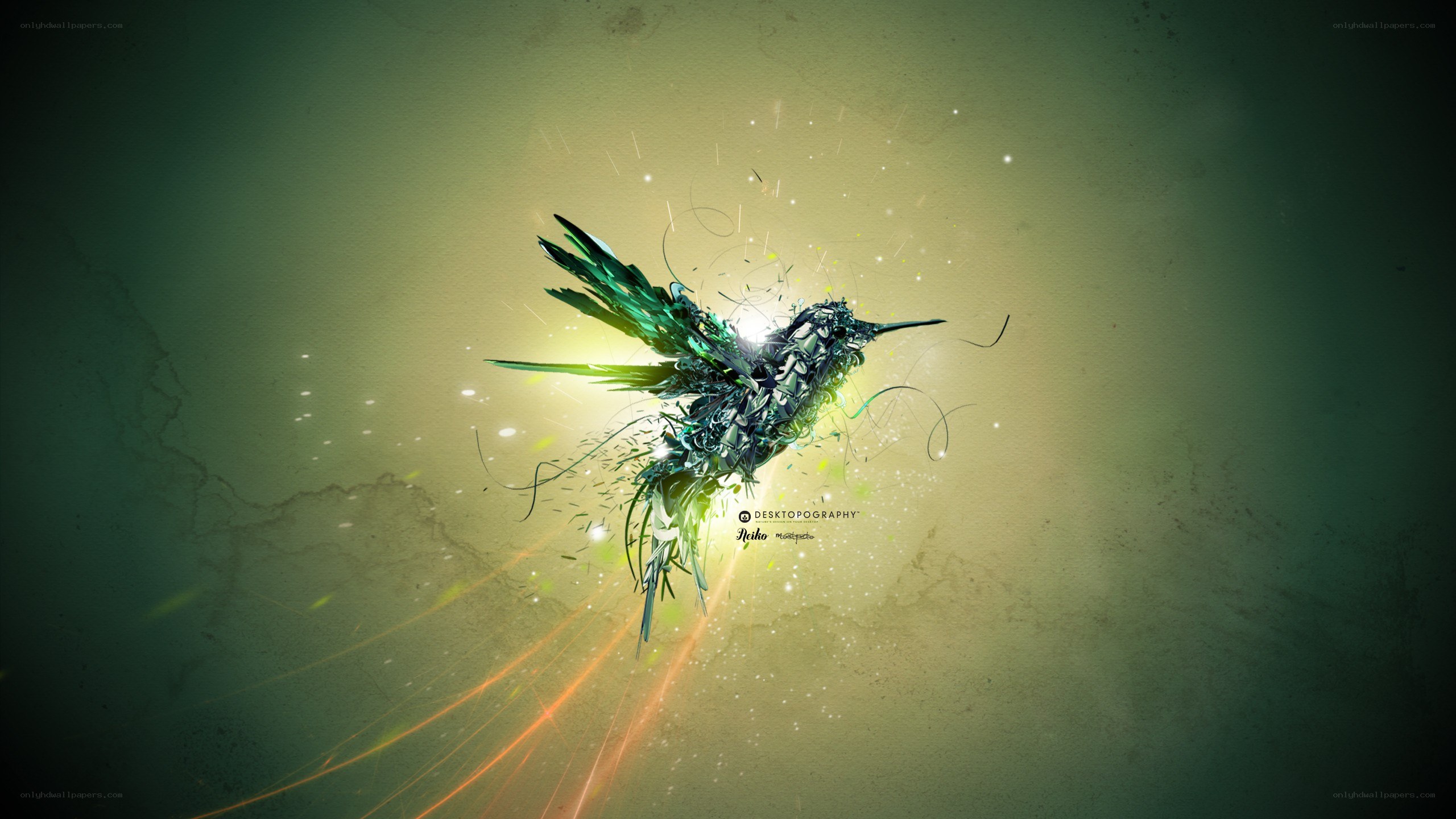 Abstract hummingbird in flight