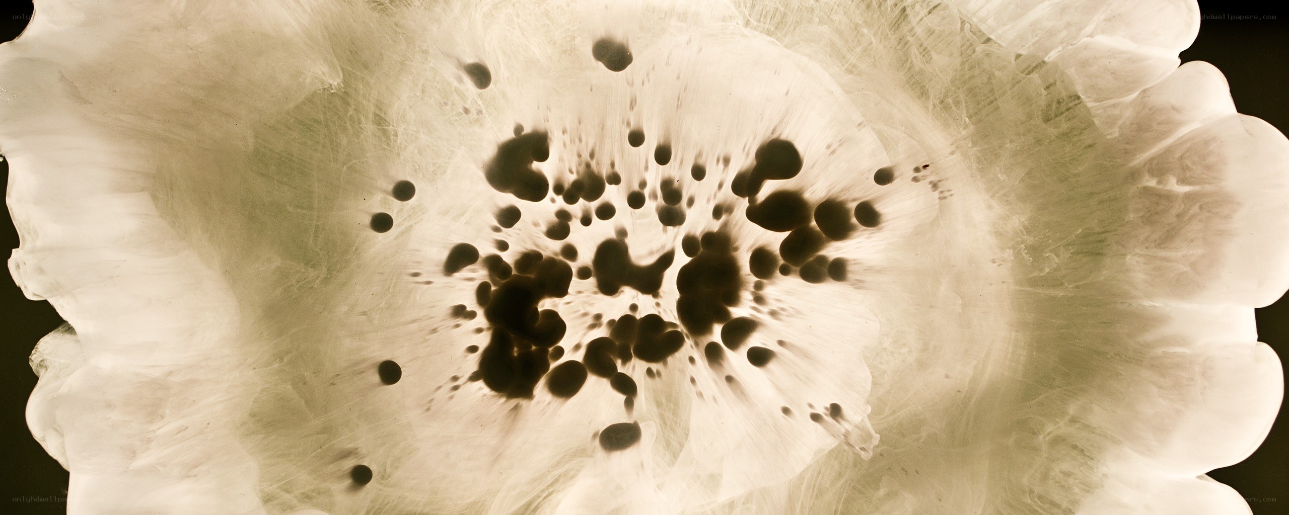 abstract ink bloom pattern