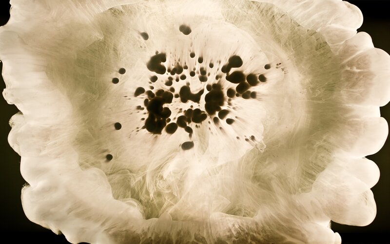 abstract ink bloom