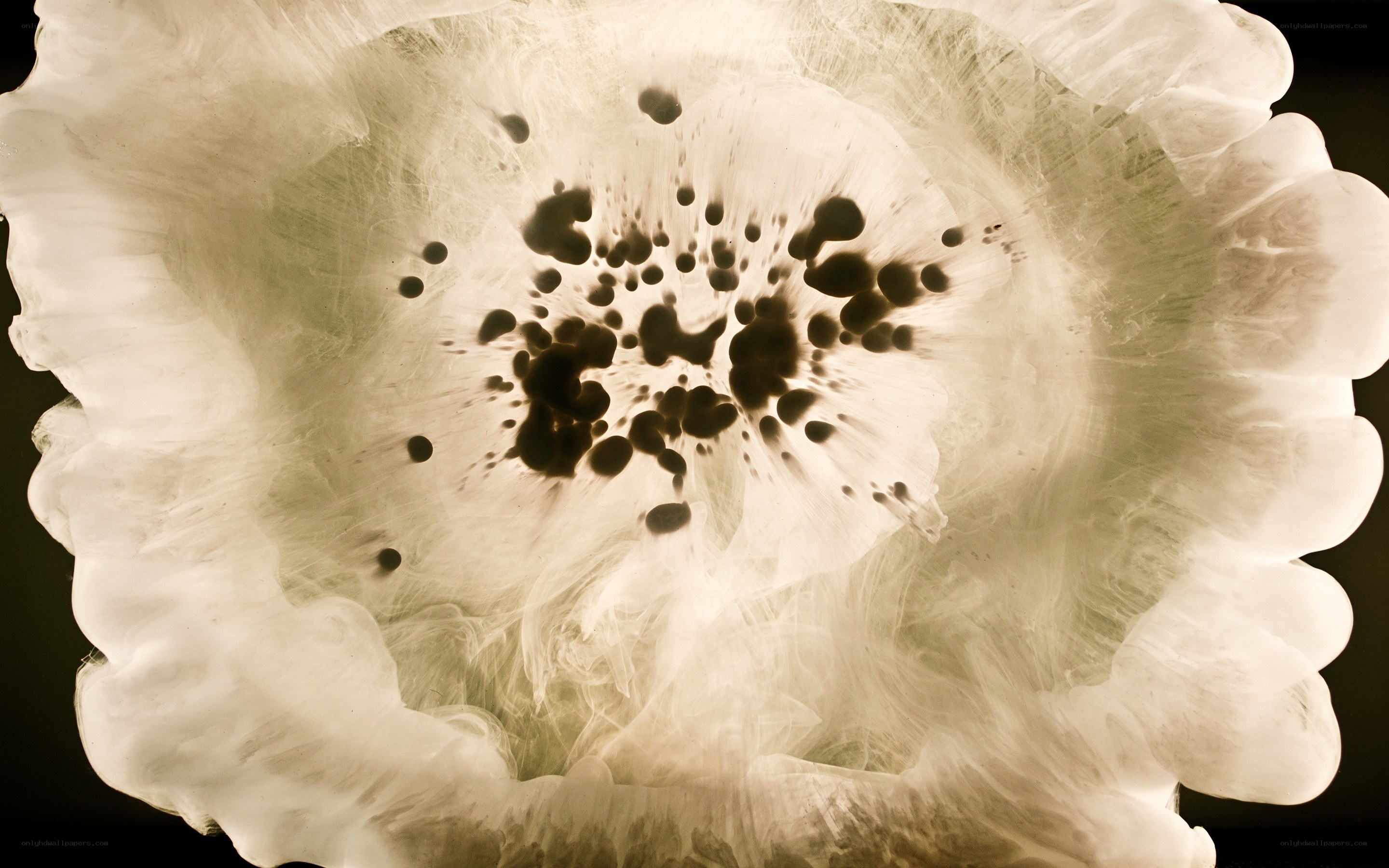abstract ink bloom