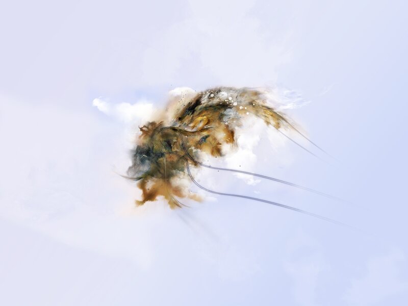Abstract inkblot in sky