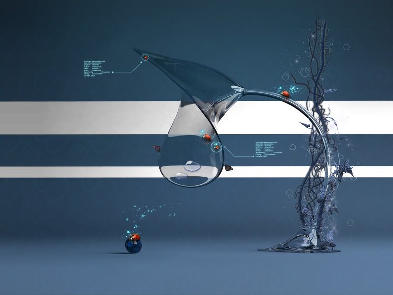 abstract ladybug science art