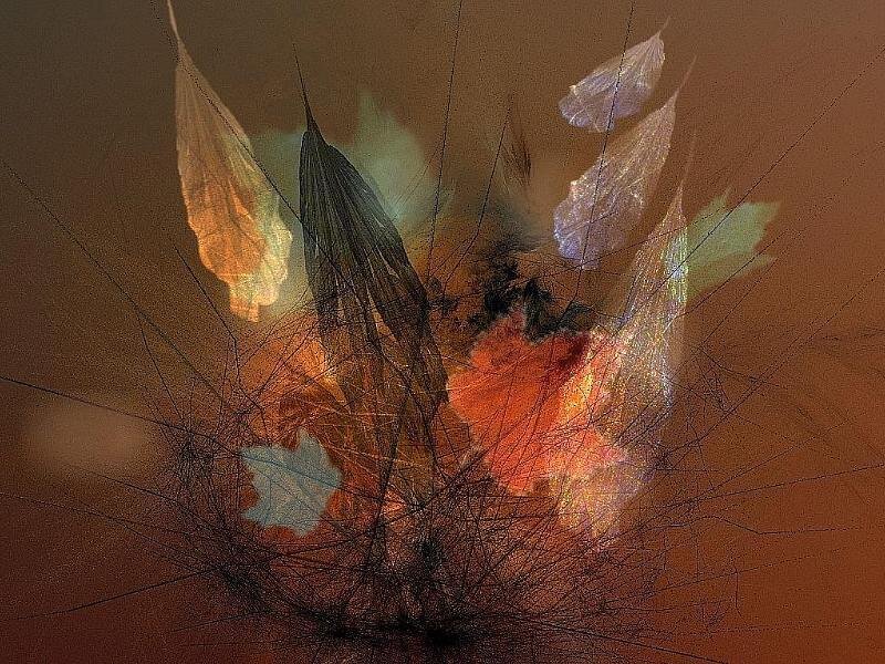 Abstract Leaf Forms