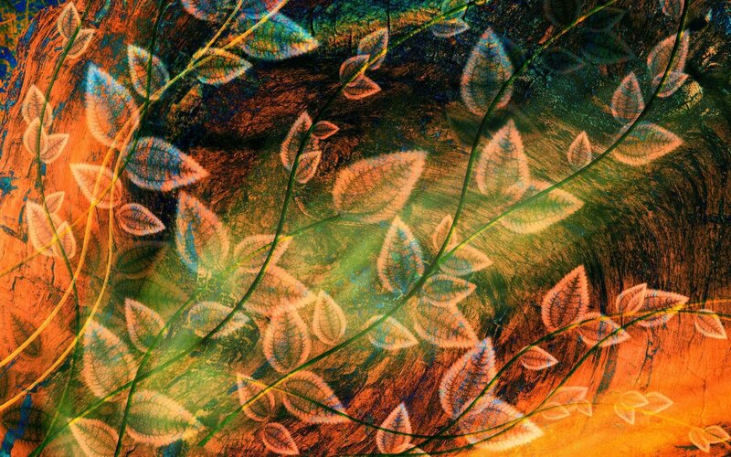 Abstract leaf pattern background