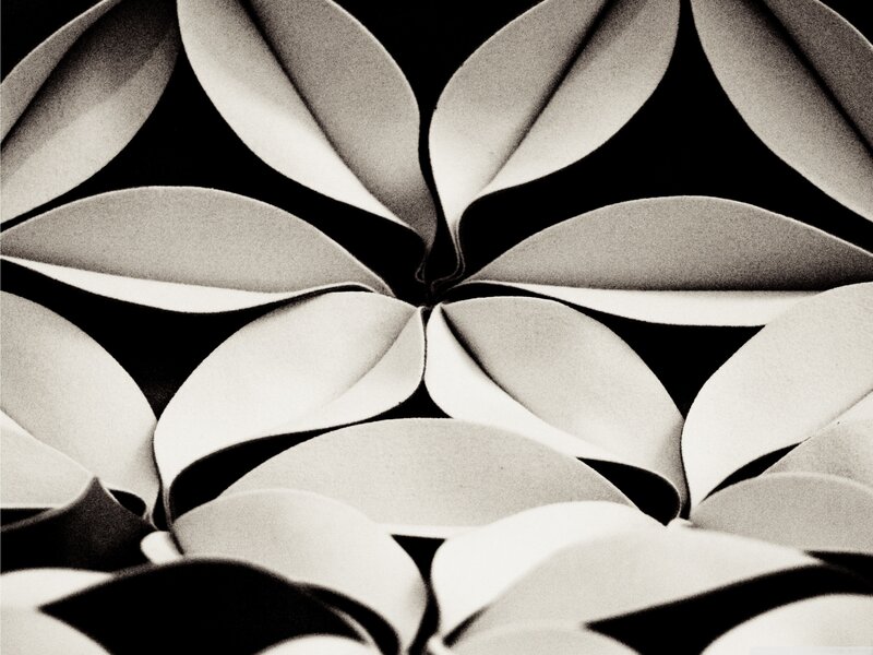 Abstract leaf pattern design