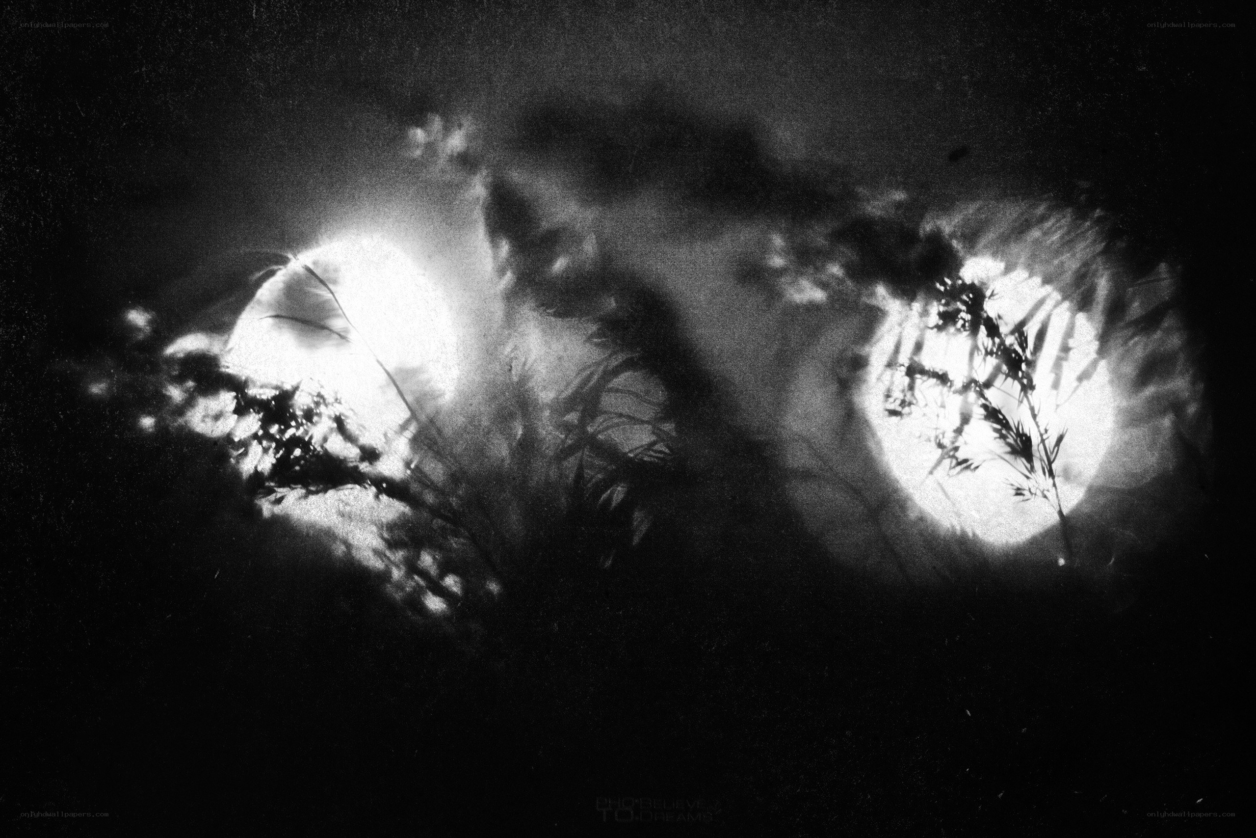 abstract light and shadow