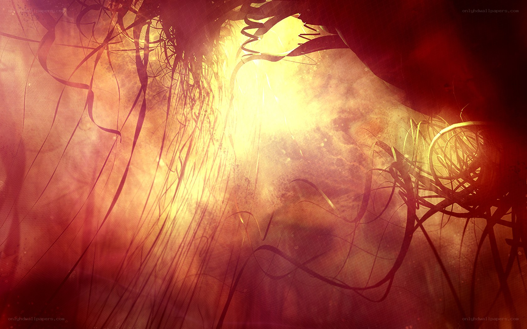 abstract light and shadow