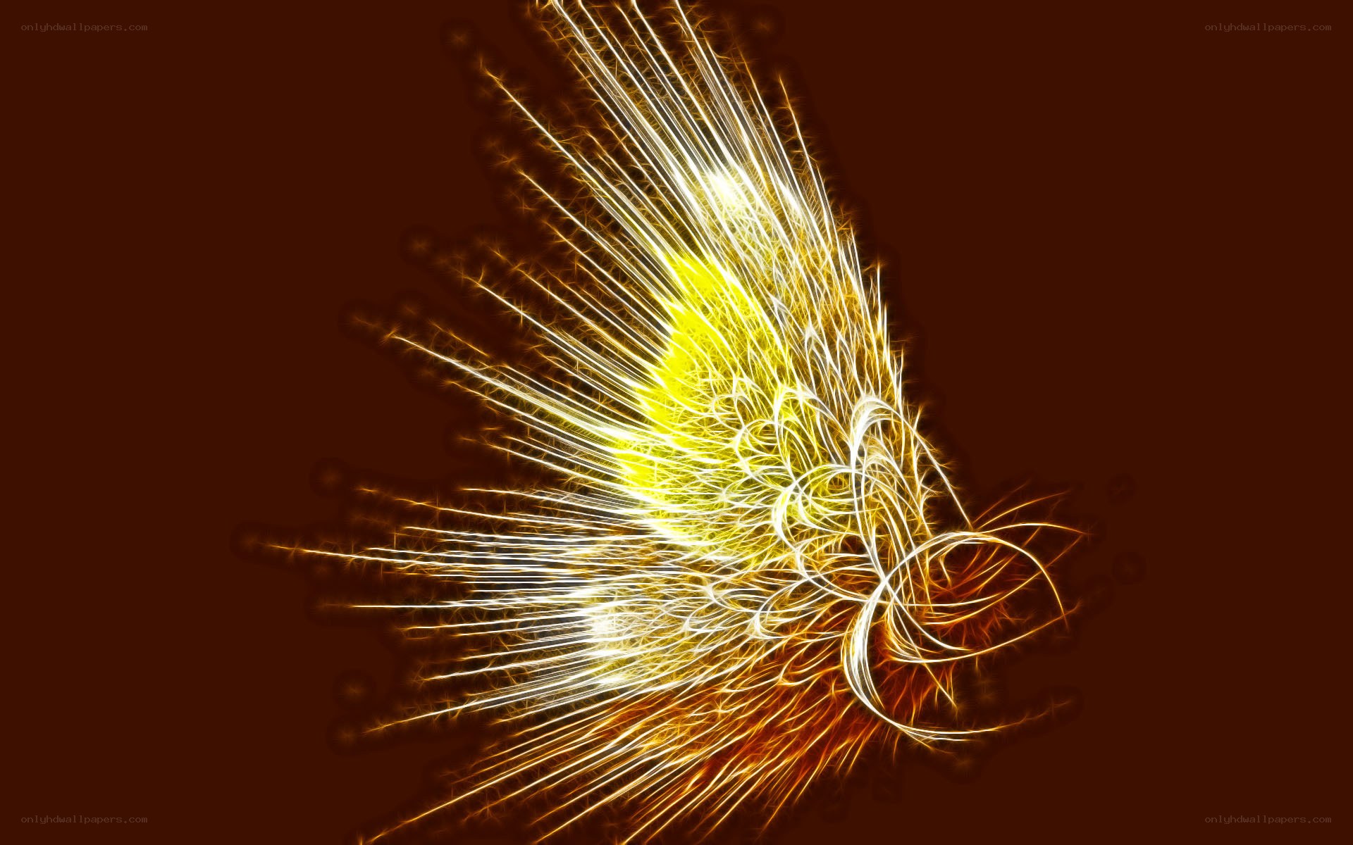 abstract light burst design
