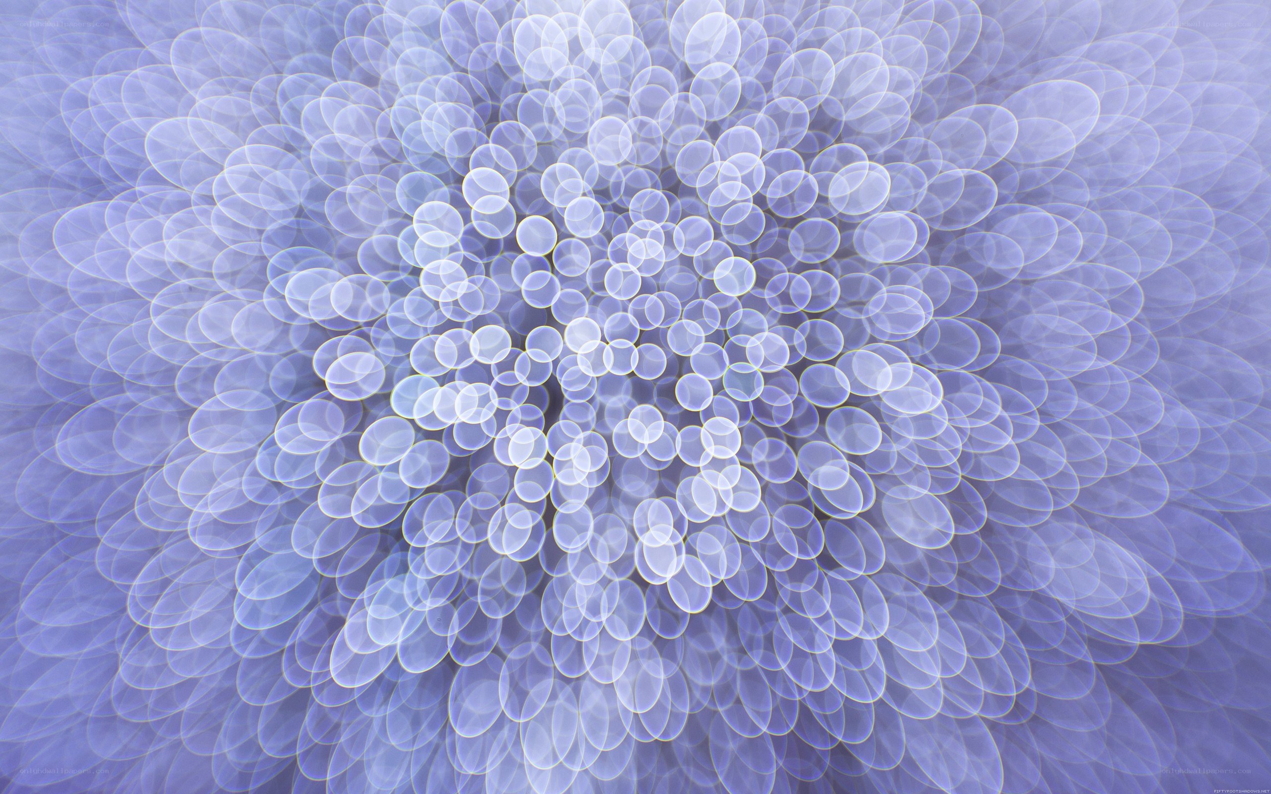 abstract light circles pattern