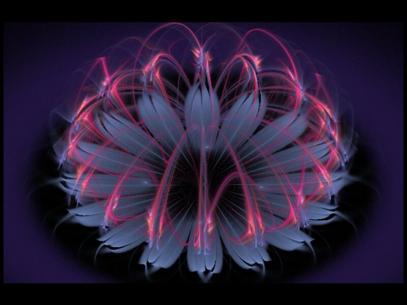 Abstract Light Flower — Purple