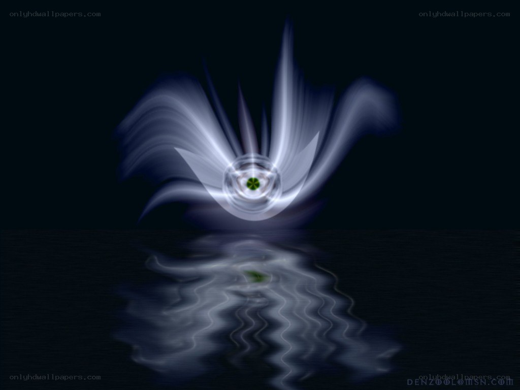 Abstract light flower reflection