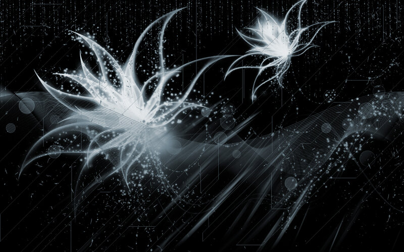Abstract Light Flowers