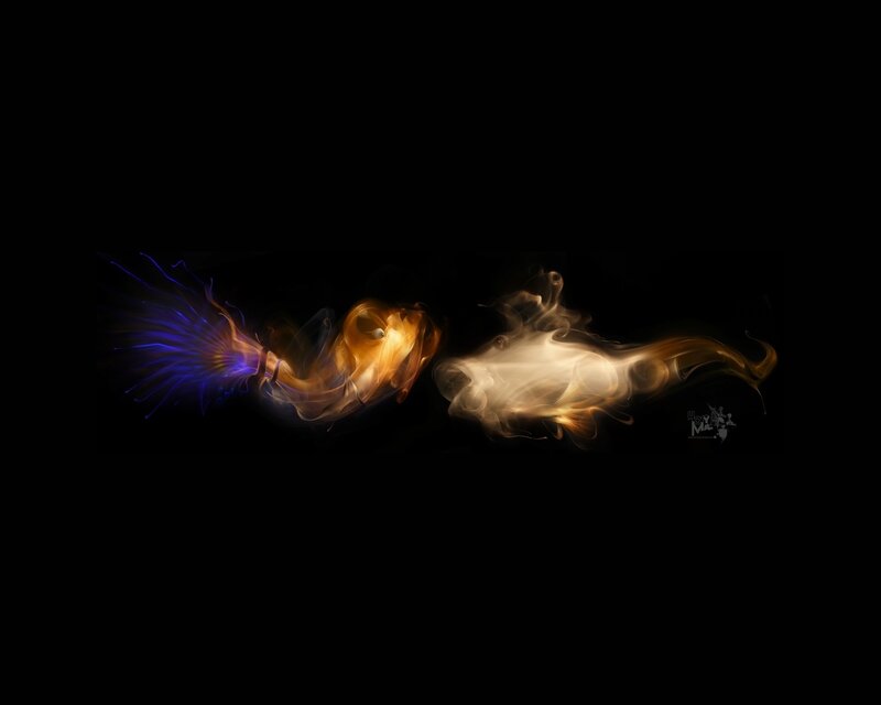Abstract Light Forms — Black
