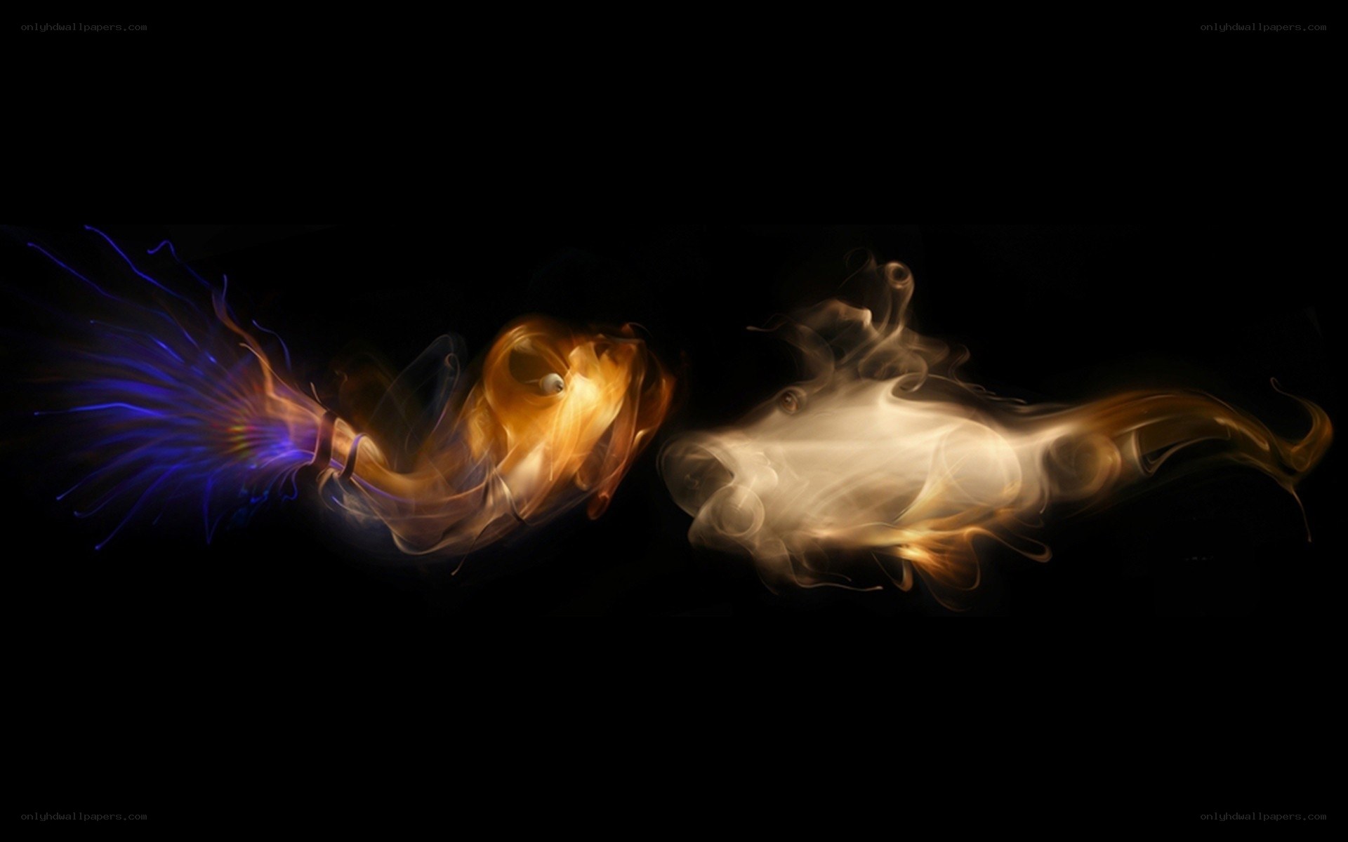 Abstract light forms in motion