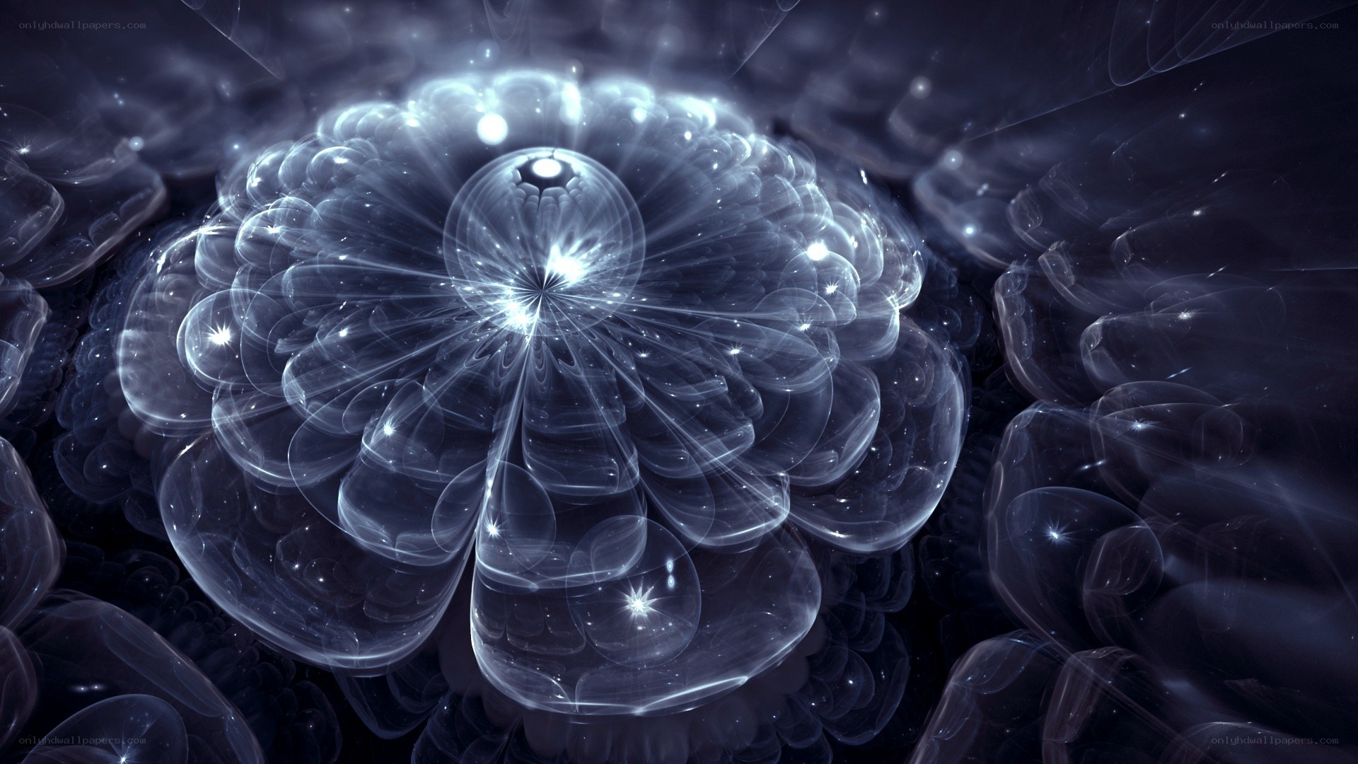 Abstract light fractal flower
