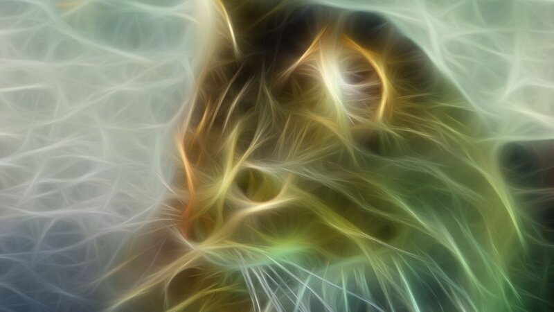 Abstract light fractal pattern