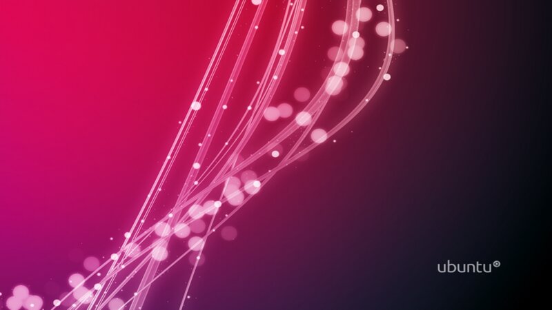 Abstract Light Lines — Pink