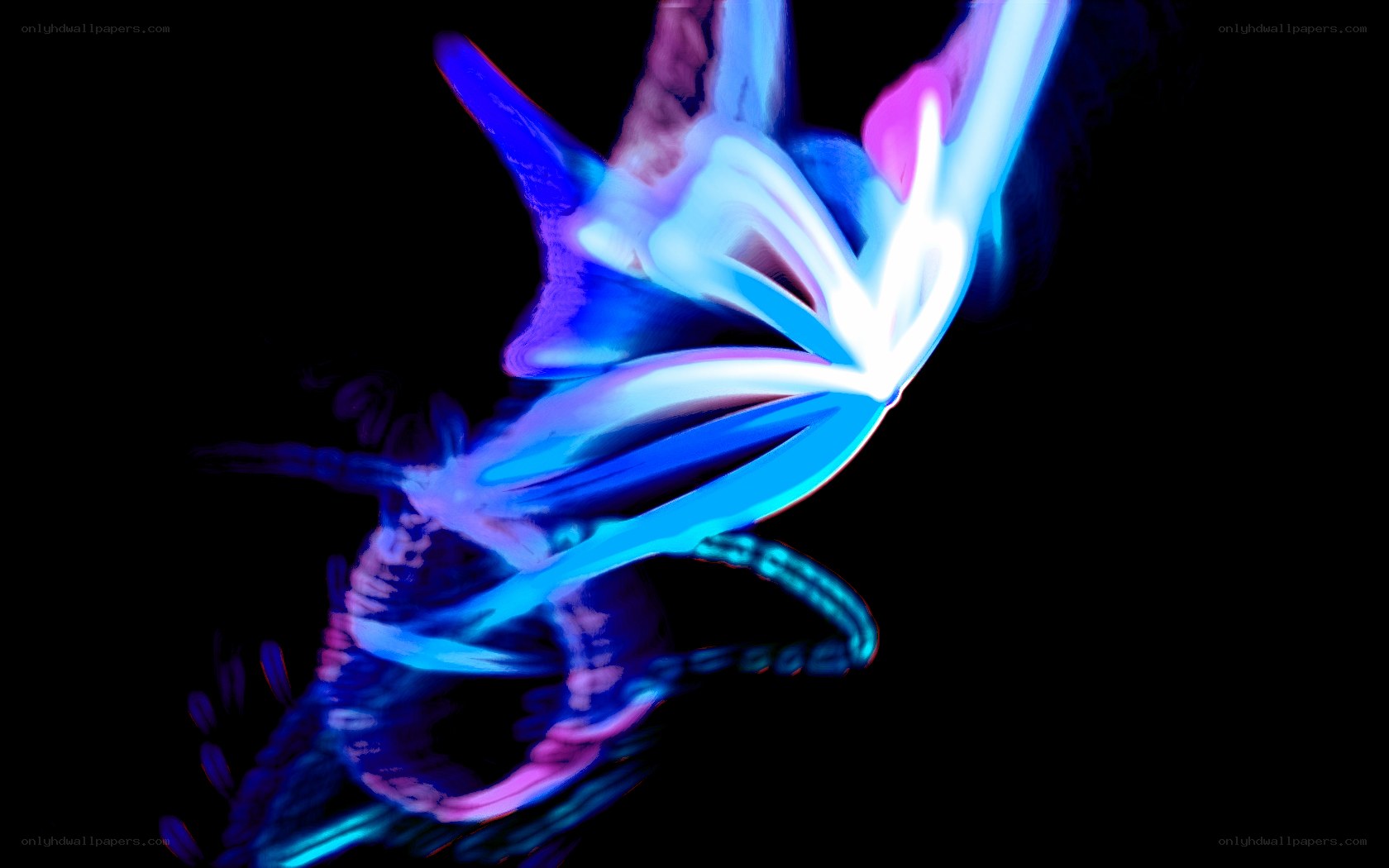 Abstract light painting art