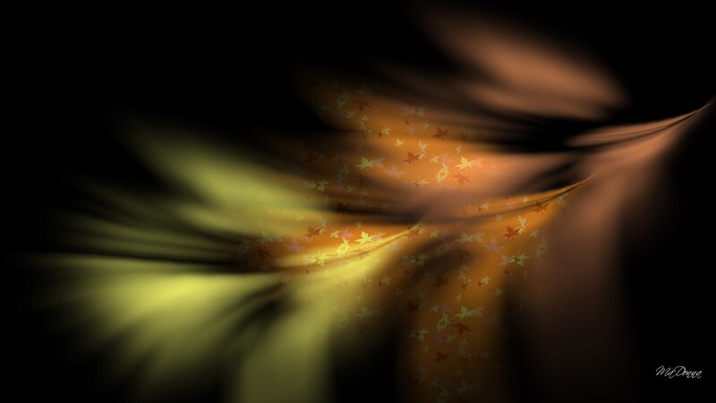 Abstract Light Pattern — Black
