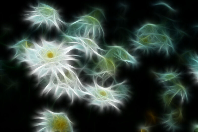 Abstract light patterns on black